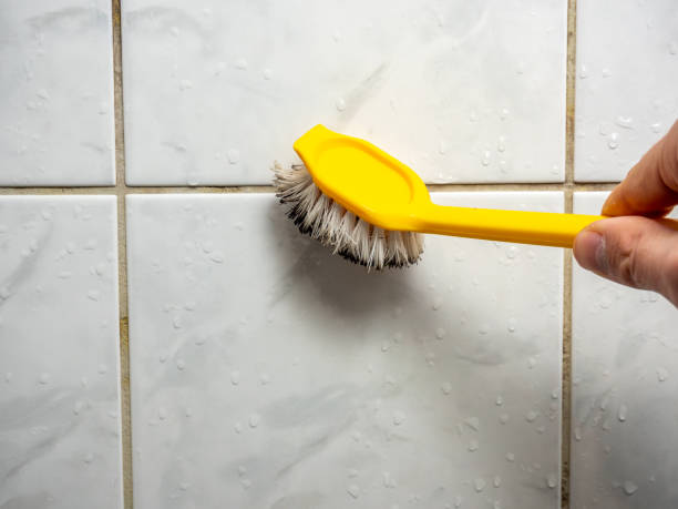 Best Home Mold Removal  in Manahawkin, NJ