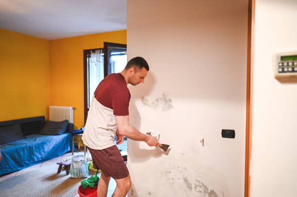 Mold Removal Process in Manahawkin, NJ